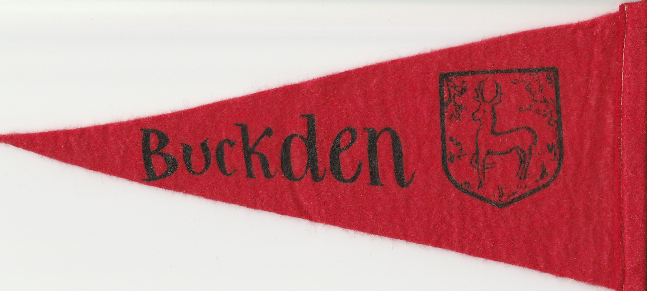 More Camp Site Pennants