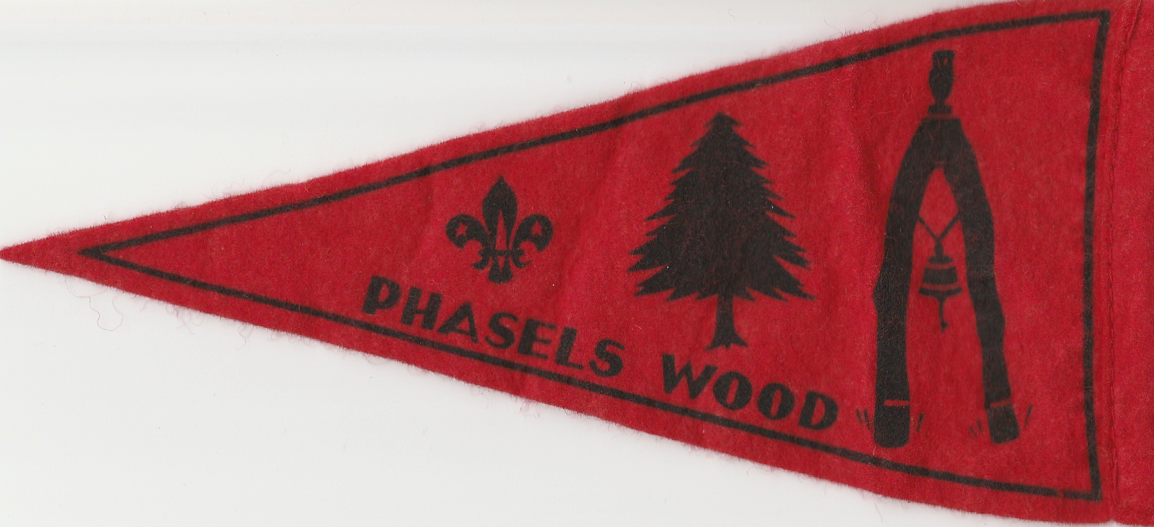 Phasels Wood