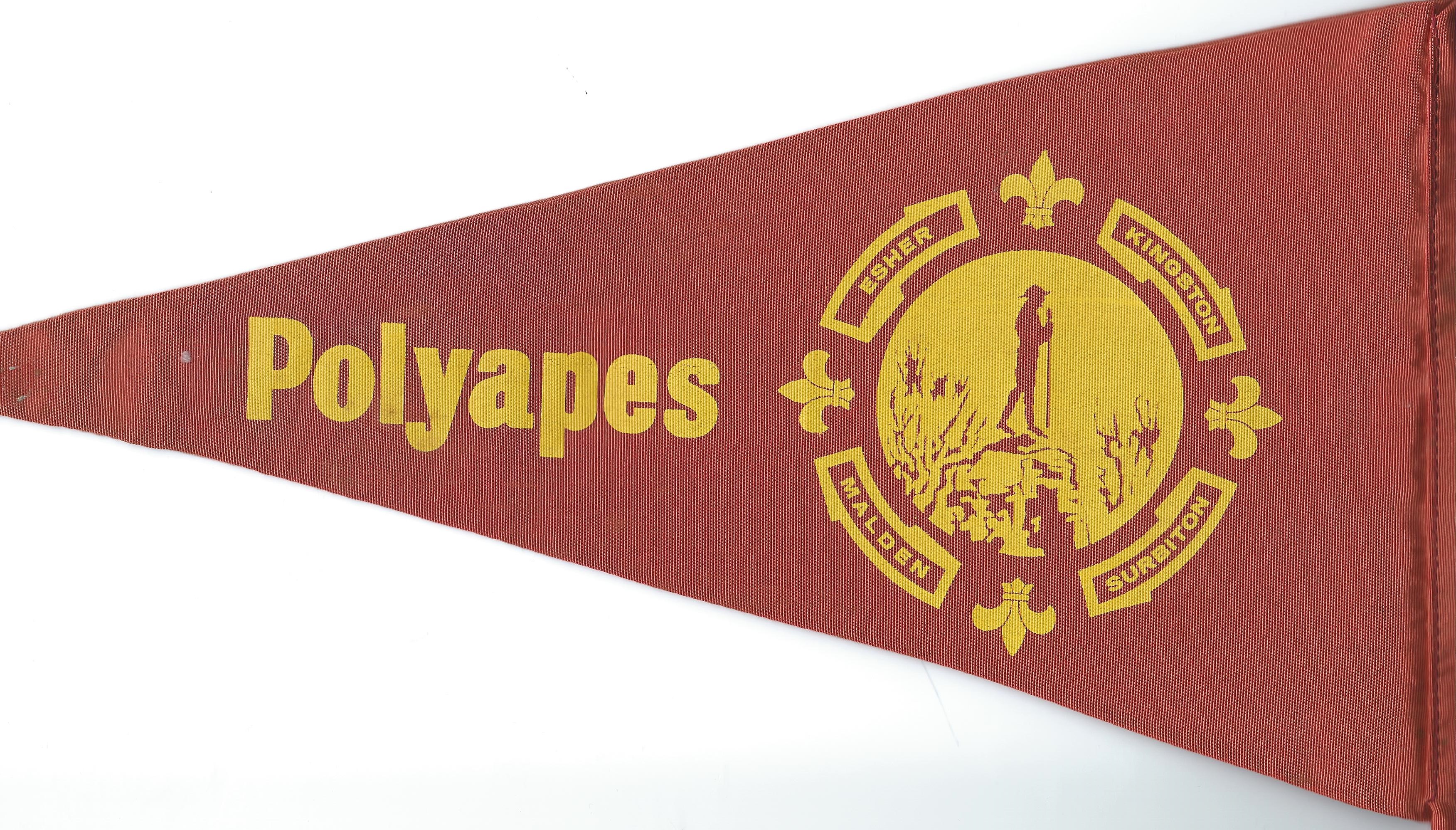 Polyapes