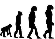 Evolution 1